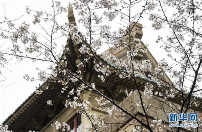 “疫”考后半场，“新基建”成为新焦点