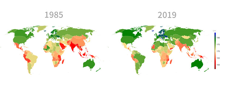 男性平均身高全球分布